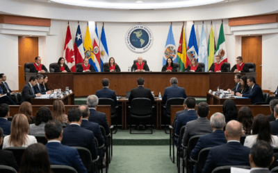 Amicus Curiae: La democracia, un derecho autónomo en el Sistema Interamericano